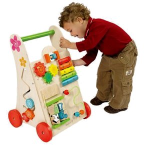 Maxim EverEarth Activity Walker
