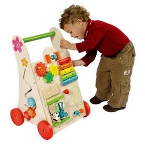 Maxim EverEarth Activity Walker by Maxim