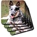 Dogs Australian Cattle - Australian Cattle Dog - Coasters
