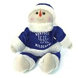 NCAA Kentucky Wildcats Plush Snowflake Friend 22