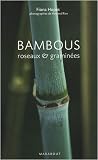 Bambous : Roseaux et gramin�es
