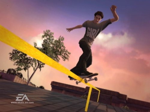 Skate It under The Computer video games Store