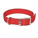 18 In Classic Double Layer Nylon Dog Collar Electric Lime