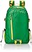 The Vertical Router Green Casual Backpack (VR/ROU06RK/PRO2015) RS.880.00