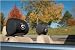 Georgia Bulldogs Headrest Covers Set Of 2 - NCAA
