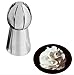 HOLLY Russian Stainless Steel Flower Icing Piping Nozzles Tips Pastry Cake Baking Tool DIY (Hole)