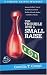 Books : The Trouble With a Small Raise: A Simona Griffo Mystery