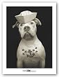 Fluke by Ron Schmidt 12"x16" Art Print Poster
