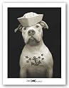 Fluke by Ron Schmidt 12"x16" Art Print Poster