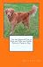 New and Improved How to Raise and Train your Golden Retriever Puppy or Dog