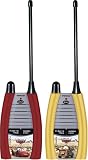 AGP Cars Walkie Talkies
