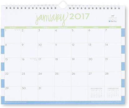 Dabney Lee for Blue Sky "Cabana" 11 x 8.75 Monthly Wall Calendar, 2017