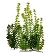 Tetra Water Wonders Plant Multi Pack#2