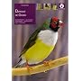Le Diamant de Gould