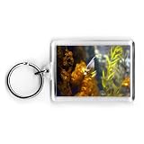 Marineland Miami Florida Aquarium - February 1973 - Acrylic Keyring - Art247 - Standard Size