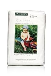 Nature Babycare Eco-Friendly Diapers, Size 4, 120-Count Package [Amazon Frustration-Free Packaging]
