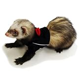 Ferretアップルパーカー・ペンギンM