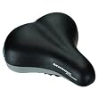 Schwinn Cruzair Seat
