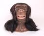 WowWee Chimpanzee Alive Animatronic Life Like Chimp Robot Monkey with Remote