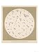 Vibrio (Or Vibrion) of Cholera Discovered by Koch 1883 Stretched Canvas Poster Print