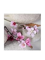 CM Creation Cuadro Vidrio Orquídeas 40X40