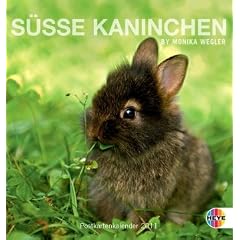 S��e Kaninchen 2011. Postkartenkalender