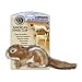 New JPI AKC Chipmunk Sml High Quality Plush Toys Appeal To A Dog's Natural Instincts Popular