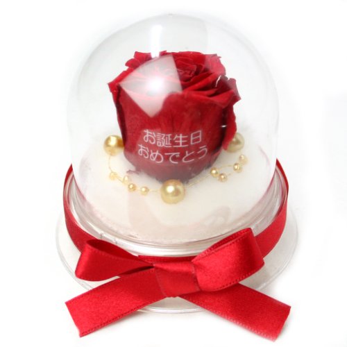 Cover image : メッセージローズ (Preserved Rose) ローズドーム S1～情熱のラブジャック～レッド 【リボン付き】【お誕生日おめでとう】 22215