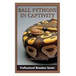 TREX BALL PYTHON IN CAPTIVITY