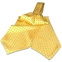 Forzieri Polkadots Silk Ascot