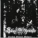 Produkt-Bild: Carelian Satanist Madness