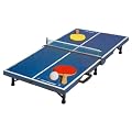 Mini Tischtennisplatte
