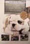 Puppies, Kittens, and More ~ Moods of Nature DVD ~