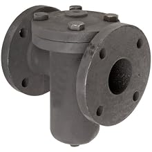 Flexicraft BIF Cast Iron Basket Strainer with Flange End, 2" ID x 8" Length