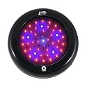 135W LED Grow Light Lighthouse Hydro BlackStar 135 Watts Flowering