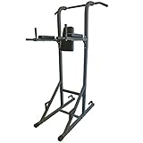 DKN VKR Power Tower with Pull Up and Dip Station - Metallic