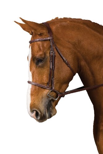COLLEGIATE Square Raised Bridle w/Reins