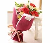 �y5/13�ȍ~�ɂ��͂��z�x��Ă��߂�˕�̓��E���������}�~�[�i�J�[�l�[�V�����ԑ��j��̓���������������ɑ���ԑ�2009