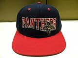 NHL Florida Panthers 2 Tone Wave Snapback Cap Retro