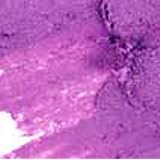 NYX Slim Lip Liner Pencil 838 Purple Rain