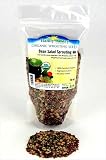 Organic Black Turtle Beans -1 Lb- Called Black Bean & Spanish Black Bean - Seed Sprouting Sprouts, Cooking, Food Storage
