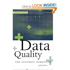 Data Quality: The Accuracy Dimension