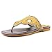 Ariat Women's Mica Flip Flop Style Fashion Sandals