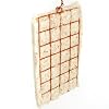 Songbird Essentials SE7021 Hummingbird Helper Cage Nesting Bird