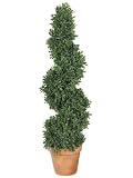 Pack of 2 Potted Artificial Spiral Mini Boxwood Topiary Trees 27 &acute; - B003ANZ8Q0