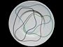 L'Exp�rience de la c�ramique : Edition limit�e avec assiettes s�rigraphi�es