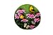 Field Of Finches Stepping Stone