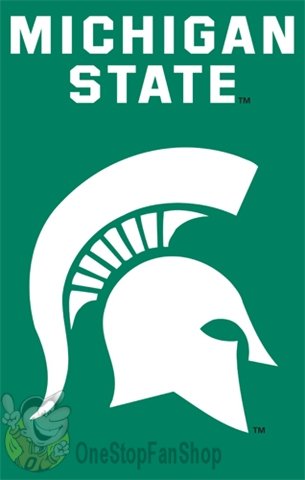 Michigan State Spartans 2 Sided Large House Flag Banner
