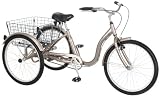 Schwinn Meridian Tricycle (24-Inch Wheels), Dark Silver, 14-Inch