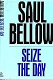 Seize the day : a novel